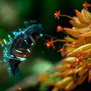 Hummingbird by Samsung [LSP]  screen for extension Chrome web store in OffiDocs Chromium